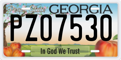 GA license plate PZO7530