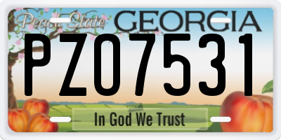 GA license plate PZO7531