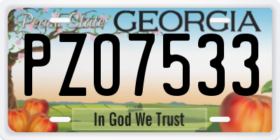 GA license plate PZO7533