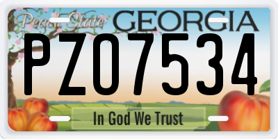 GA license plate PZO7534