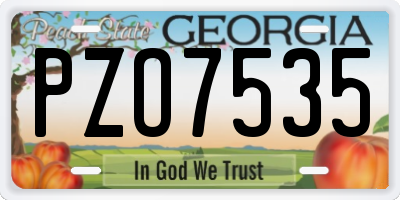 GA license plate PZO7535