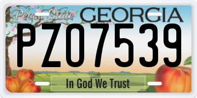 GA license plate PZO7539