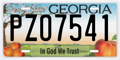 GA license plate PZO7541