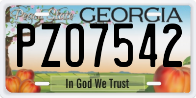 GA license plate PZO7542