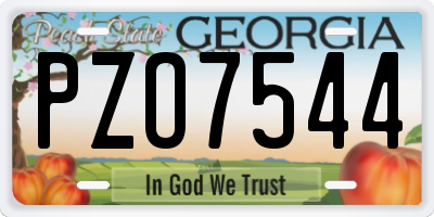 GA license plate PZO7544