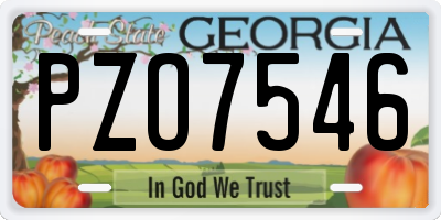 GA license plate PZO7546