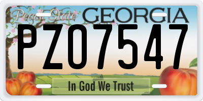 GA license plate PZO7547