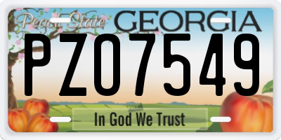 GA license plate PZO7549