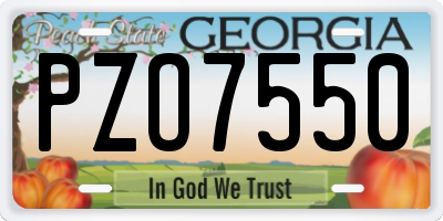 GA license plate PZO7550