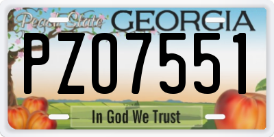 GA license plate PZO7551