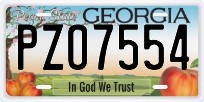 GA license plate PZO7554