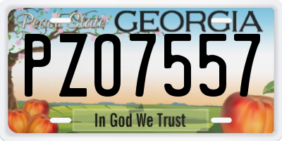 GA license plate PZO7557