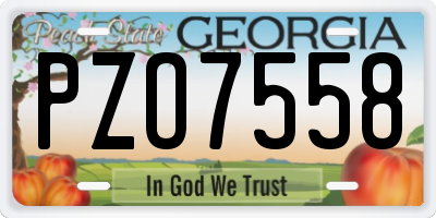 GA license plate PZO7558