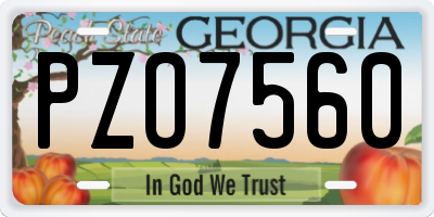 GA license plate PZO7560