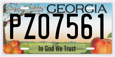 GA license plate PZO7561