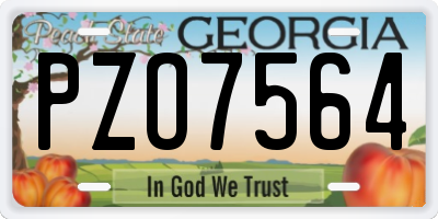 GA license plate PZO7564