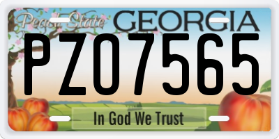 GA license plate PZO7565