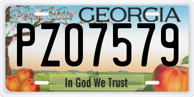 GA license plate PZO7579