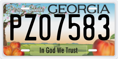 GA license plate PZO7583