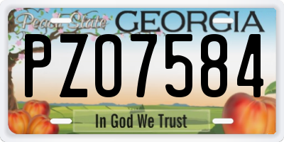 GA license plate PZO7584