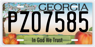 GA license plate PZO7585