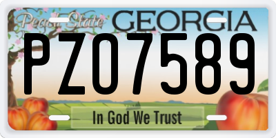 GA license plate PZO7589