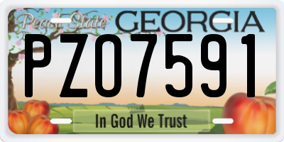 GA license plate PZO7591