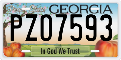 GA license plate PZO7593