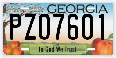 GA license plate PZO7601