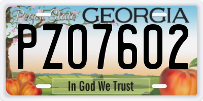 GA license plate PZO7602