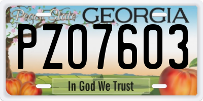 GA license plate PZO7603