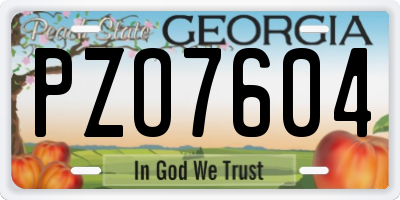 GA license plate PZO7604