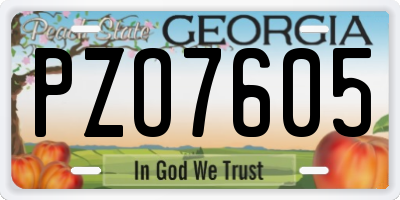 GA license plate PZO7605