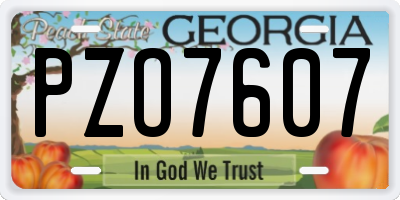 GA license plate PZO7607