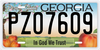 GA license plate PZO7609