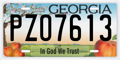 GA license plate PZO7613