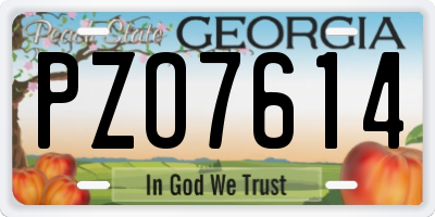 GA license plate PZO7614