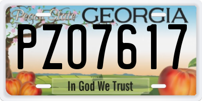 GA license plate PZO7617