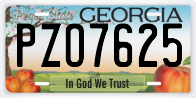 GA license plate PZO7625