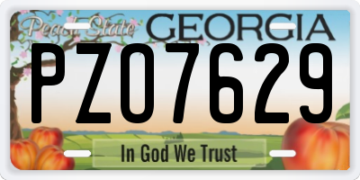 GA license plate PZO7629