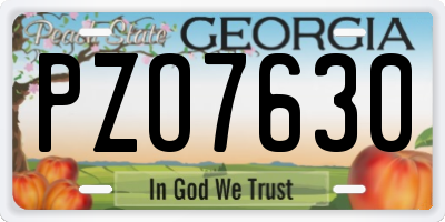 GA license plate PZO7630