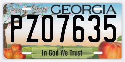 GA license plate PZO7635