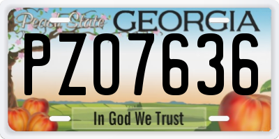 GA license plate PZO7636