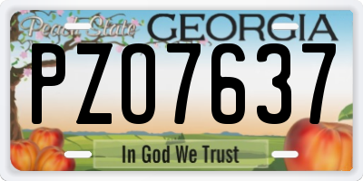 GA license plate PZO7637