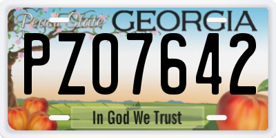 GA license plate PZO7642