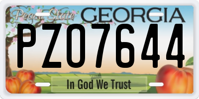 GA license plate PZO7644