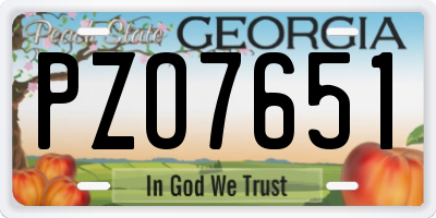 GA license plate PZO7651