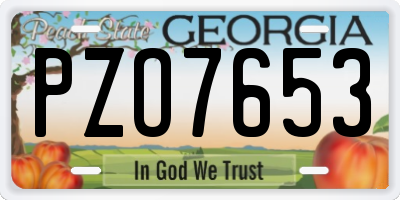 GA license plate PZO7653