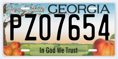 GA license plate PZO7654