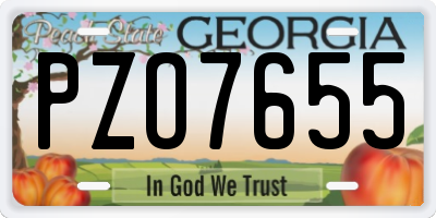 GA license plate PZO7655